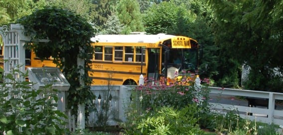 Montgomery-Co-School-Buses