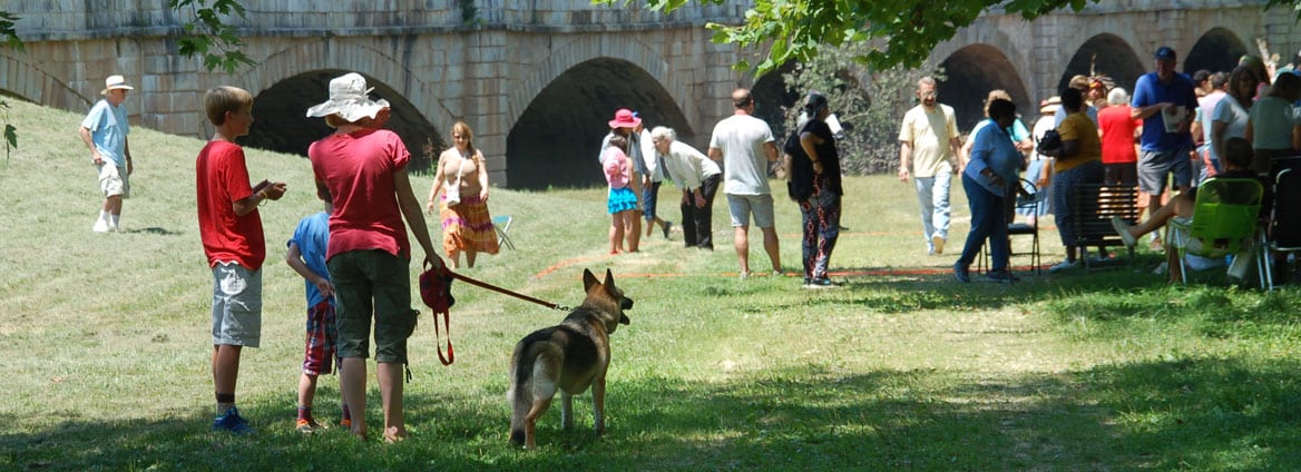 Pet-Friendly-Parks