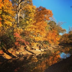 fall-along-the-canal