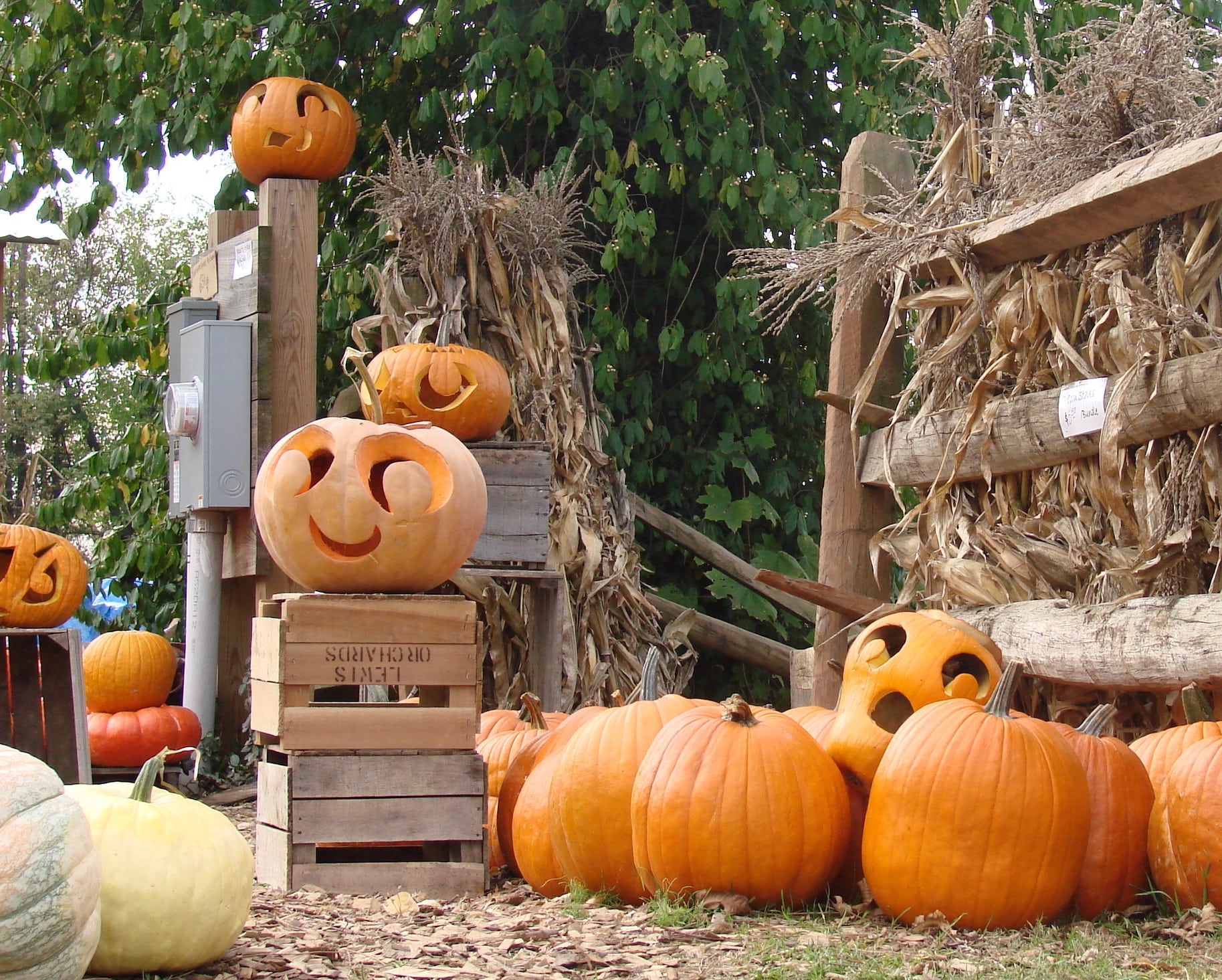 BOO! Halloween Haunts! Heritage Tourism Alliance of Montgomery County