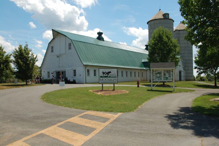 King Barn Dairy MOOseum